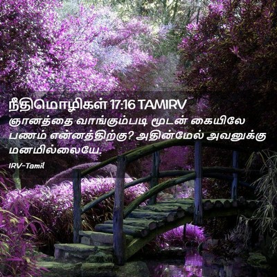 Picture 02 - நீதிமொழிகள் 17:16 TAMIRV - ஞானத்தை - Bible Verse Picture