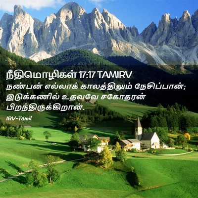 Picture 02 - நீதிமொழிகள் 17:17 TAMIRV - நண்பன் எல்லாக் - Bible Verse Picture
