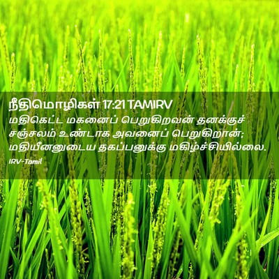 Picture 02 - நீதிமொழிகள் 17:21 TAMIRV - மதிகெட்ட மகனைப் - Bible Verse Picture
