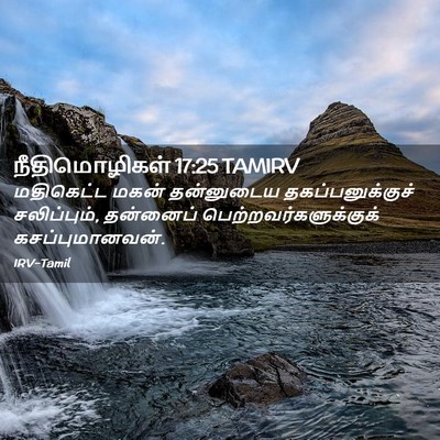 Picture 02 - நீதிமொழிகள் 17:25 TAMIRV - மதிகெட்ட மகன் - Bible Verse Picture