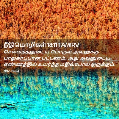 Picture 02 - நீதிமொழிகள் 18:11 TAMIRV - செல்வந்தனுடைய - Bible Verse Picture
