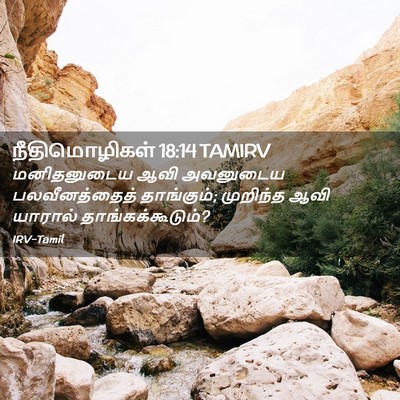 Picture 02 - நீதிமொழிகள் 18:14 TAMIRV - மனிதனுடைய ஆவி - Bible Verse Picture