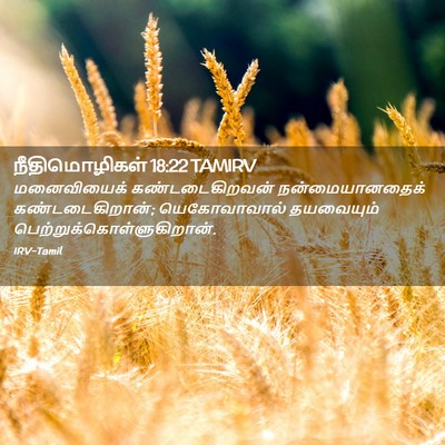 Picture 02 - நீதிமொழிகள் 18:22 TAMIRV - மனைவியைக் - Bible Verse Picture