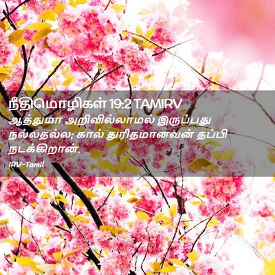 Picture 02 - நீதிமொழிகள் 19:2 TAMIRV - ஆத்துமா - Bible Verse Picture