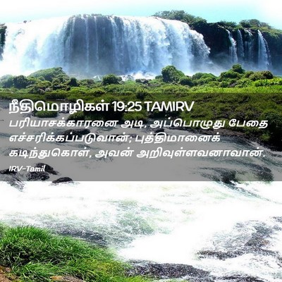 Picture 02 - நீதிமொழிகள் 19:25 TAMIRV - பரியாசக்காரனை - Bible Verse Picture