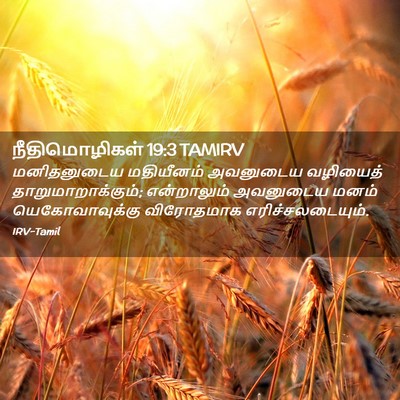 Picture 02 - நீதிமொழிகள் 19:3 TAMIRV - மனிதனுடைய - Bible Verse Picture