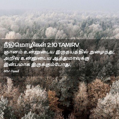 Picture 02 - நீதிமொழிகள் 2:10 TAMIRV - ஞானம் உன்னுடைய - Bible Verse Picture