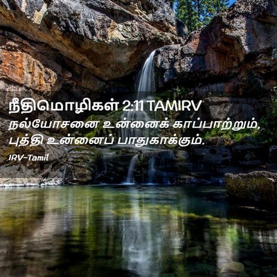 Picture 02 - நீதிமொழிகள் 2:11 TAMIRV - நல்யோசனை உன்னைக் - Bible Verse Picture