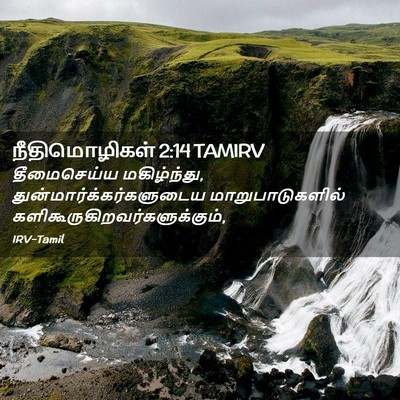 Picture 02 - நீதிமொழிகள் 2:14 TAMIRV - தீமைசெய்ய - Bible Verse Picture