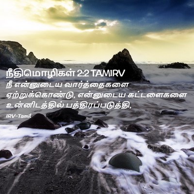 Picture 02 - நீதிமொழிகள் 2:2 TAMIRV - நீ என்னுடைய - Bible Verse Picture