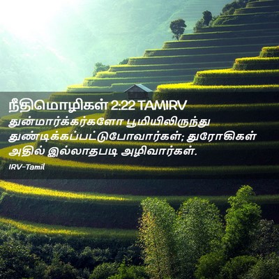Picture 02 - நீதிமொழிகள் 2:22 TAMIRV - துன்மார்க்கர்களோ - Bible Verse Picture