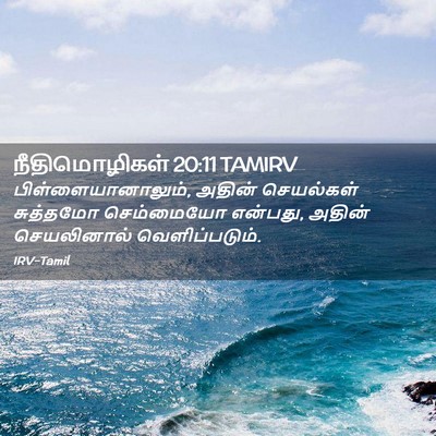 Picture 02 - நீதிமொழிகள் 20:11 TAMIRV - பிள்ளையானாலும், - Bible Verse Picture