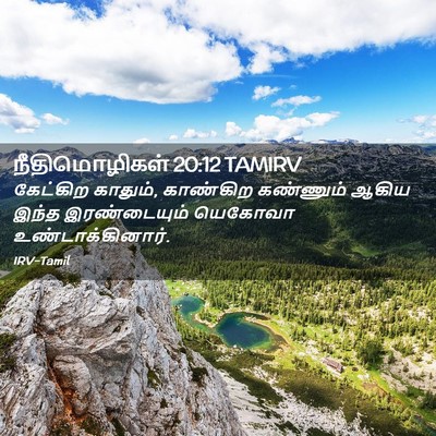 Picture 02 - நீதிமொழிகள் 20:12 TAMIRV - கேட்கிற காதும், - Bible Verse Picture