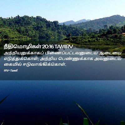 Picture 02 - நீதிமொழிகள் 20:16 TAMIRV - அந்நியனுக்காகப் - Bible Verse Picture