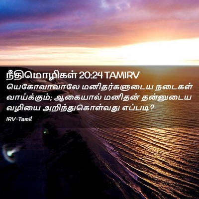 Picture 02 - நீதிமொழிகள் 20:24 TAMIRV - யெகோவாவாலே - Bible Verse Picture