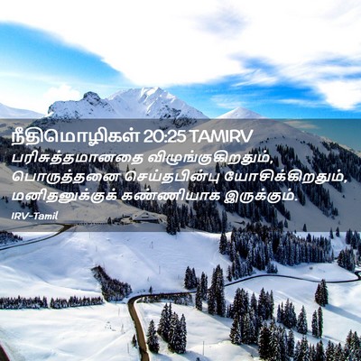 Picture 02 - நீதிமொழிகள் 20:25 TAMIRV - பரிசுத்தமானதை - Bible Verse Picture