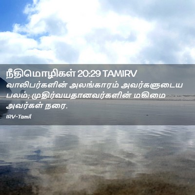 Picture 02 - நீதிமொழிகள் 20:29 TAMIRV - வாலிபர்களின் - Bible Verse Picture