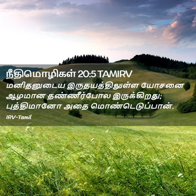 Picture 02 - நீதிமொழிகள் 20:5 TAMIRV - மனிதனுடைய - Bible Verse Picture