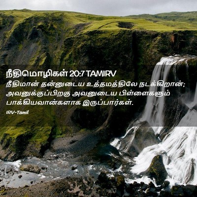 Picture 02 - நீதிமொழிகள் 20:7 TAMIRV - நீதிமான் தன்னுடைய - Bible Verse Picture