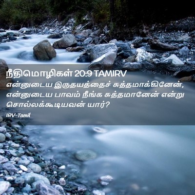 Picture 02 - நீதிமொழிகள் 20:9 TAMIRV - என்னுடைய - Bible Verse Picture