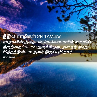 Picture 02 - நீதிமொழிகள் 21:1 TAMIRV - ராஜாவின் இருதயம் - Bible Verse Picture