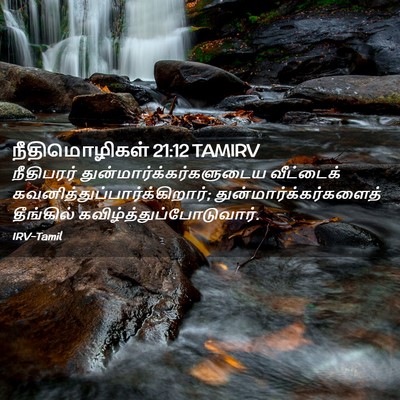 Picture 02 - நீதிமொழிகள் 21:12 TAMIRV - நீதிபரர் - Bible Verse Picture