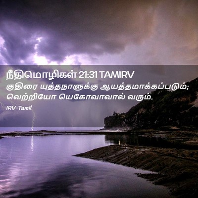 Picture 02 - நீதிமொழிகள் 21:31 TAMIRV - குதிரை - Bible Verse Picture