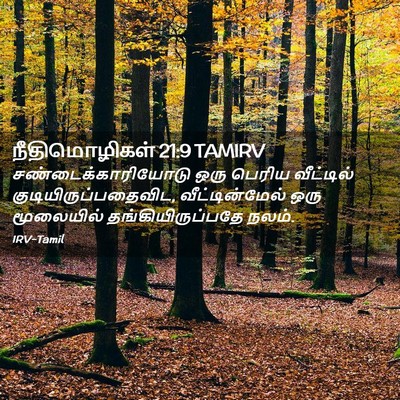 Picture 02 - நீதிமொழிகள் 21:9 TAMIRV - சண்டைக்காரியோடு - Bible Verse Picture