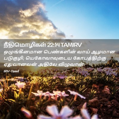 Picture 02 - நீதிமொழிகள் 22:14 TAMIRV - ஒழுங்கீனமான - Bible Verse Picture