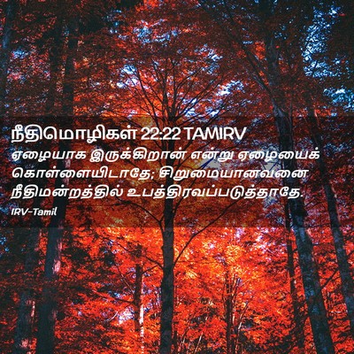 Picture 02 - நீதிமொழிகள் 22:22 TAMIRV - ஏழையாக - Bible Verse Picture