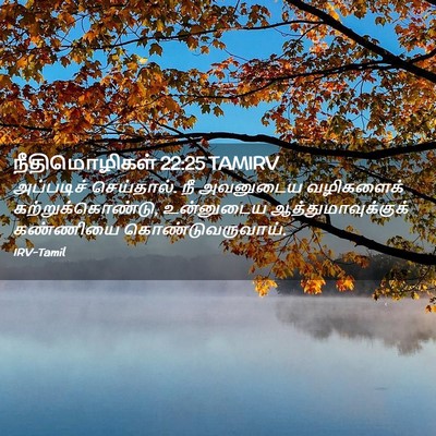 Picture 02 - நீதிமொழிகள் 22:25 TAMIRV - அப்படிச் - Bible Verse Picture