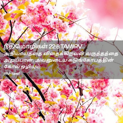 Picture 02 - நீதிமொழிகள் 22:8 TAMIRV - அநியாயத்தை - Bible Verse Picture