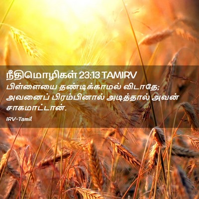 Picture 02 - நீதிமொழிகள் 23:13 TAMIRV - பிள்ளையை - Bible Verse Picture