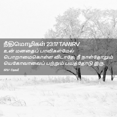 Picture 02 - நீதிமொழிகள் 23:17 TAMIRV - உன் மனதைப் - Bible Verse Picture