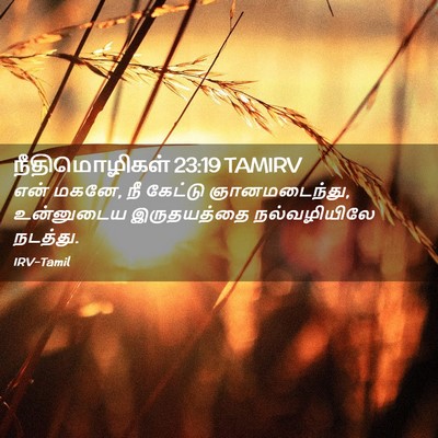 Picture 02 - நீதிமொழிகள் 23:19 TAMIRV - என் மகனே, நீ கேட்டு - Bible Verse Picture