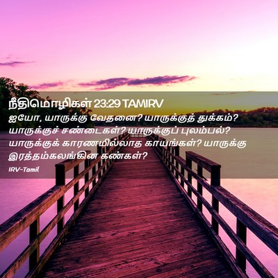 Picture 02 - நீதிமொழிகள் 23:29 TAMIRV - ஐயோ, யாருக்கு - Bible Verse Picture