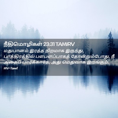 Picture 02 - நீதிமொழிகள் 23:31 TAMIRV - மதுபானம் இரத்த - Bible Verse Picture