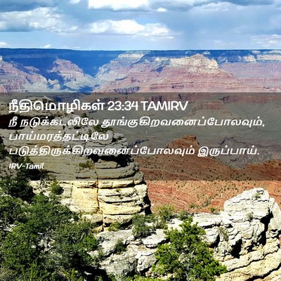 Picture 02 - நீதிமொழிகள் 23:34 TAMIRV - நீ நடுக்கடலிலே - Bible Verse Picture