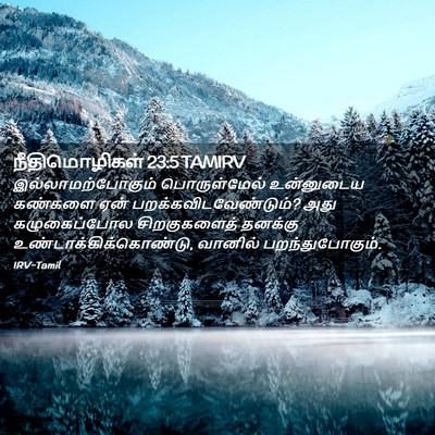Picture 02 - நீதிமொழிகள் 23:5 TAMIRV - இல்லாமற்போகும் - Bible Verse Picture