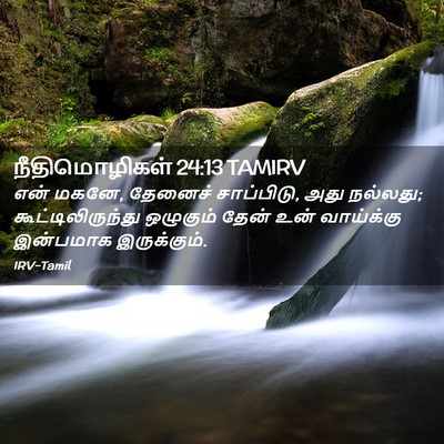 Picture 02 - நீதிமொழிகள் 24:13 TAMIRV - என் மகனே, தேனைச் - Bible Verse Picture