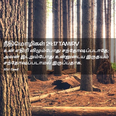 Picture 02 - நீதிமொழிகள் 24:17 TAMIRV - உன் எதிரி - Bible Verse Picture