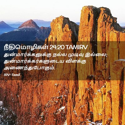Picture 02 - நீதிமொழிகள் 24:20 TAMIRV -  - Bible Verse Picture