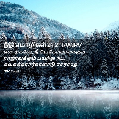 Picture 02 - நீதிமொழிகள் 24:21 TAMIRV - என் மகனே, நீ - Bible Verse Picture