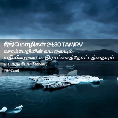 Picture 02 - நீதிமொழிகள் 24:30 TAMIRV - சோம்பேறியின் - Bible Verse Picture