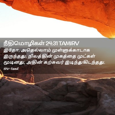 Picture 02 - நீதிமொழிகள் 24:31 TAMIRV - இதோ, அதெல்லாம் - Bible Verse Picture