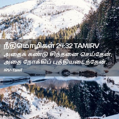Picture 02 - நீதிமொழிகள் 24:32 TAMIRV - அதைக் கண்டு - Bible Verse Picture