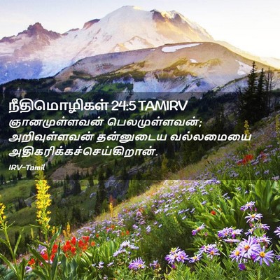 Picture 02 - நீதிமொழிகள் 24:5 TAMIRV - ஞானமுள்ளவன் - Bible Verse Picture