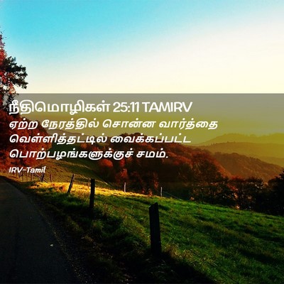Picture 02 - நீதிமொழிகள் 25:11 TAMIRV - ஏற்ற நேரத்தில் - Bible Verse Picture