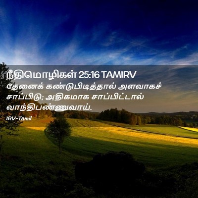 Picture 02 - நீதிமொழிகள் 25:16 TAMIRV - தேனைக் - Bible Verse Picture