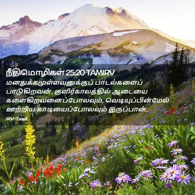 Picture 02 - நீதிமொழிகள் 25:20 TAMIRV -  - Bible Verse Picture
